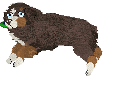 Spellbound's How Still My Love — “Eclectic”