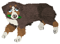 Spellbound's How Still My Love — “Eclectic”