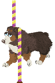 Spellbound's How Still My Love — “Eclectic”