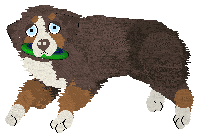 Spellbound's How Still My Love — “Eclectic”