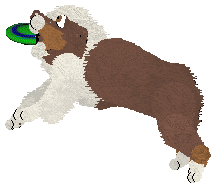 Spellbound's Obsessive Was My Love — “Norse”