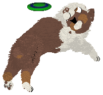 Spellbound's Obsessive Was My Love — “Norse”