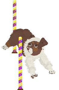 Spellbound's Obsessive Was My Love — “Norse”