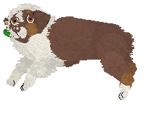 Spellbound's Obsessive Was My Love — “Norse”