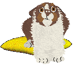 Spellbound's Obsessive Was My Love — “Norse”