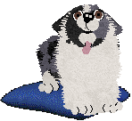 Spellbound's Some Kind Of Temptation — “Pantheon”