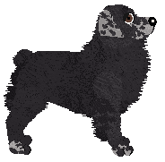 Spellbound's Dare My Wild Heart — “Wicca”