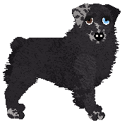 Profile image of Spellbound's Dare My Wild Heart