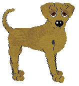 Profile image of Sz's Birefringence