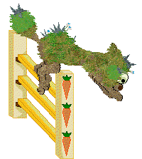 Swallowtail/FK's Mossballz in Bloom — “Delphinium”