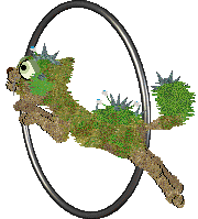 Swallowtail/FK's Mossballz in Bloom — “Delphinium”