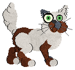 Profile image of Sheba/PH’s Literary Sisters