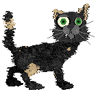 PH’s Word’s Okayest Alley Cat — “Leslie”