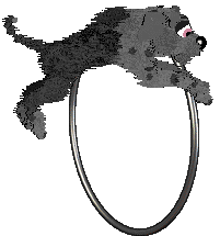 FK's Shadow in the Mist — “Makoto”