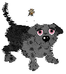 FK's Shadow in the Mist — “Makoto”