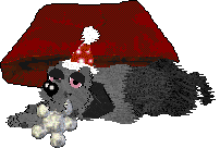 FK's Shadow in the Mist — “Makoto”