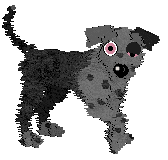 FK's Shadow in the Mist — “Makoto”