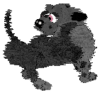 FK's Shadow in the Mist — “Makoto”