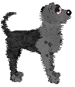 FK's Shadow in the Mist — “Makoto”