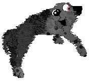 FK's Shadow in the Mist — “Makoto”