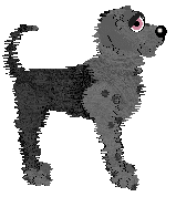 FK's Shadow in the Mist — “Makoto”