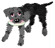 FK's Shadow in the Mist — “Makoto”