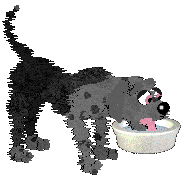 FK's Shadow in the Mist — “Makoto”