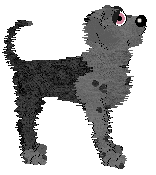 FK's Shadow in the Mist — “Makoto”