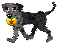 FK's Shadow in the Mist — “Makoto”