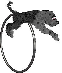 FK's Shadow in the Mist — “Makoto”