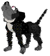 FK's Shadow in the Mist — “Makoto”