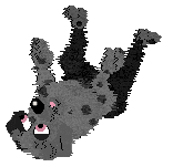 FK's Shadow in the Mist — “Makoto”