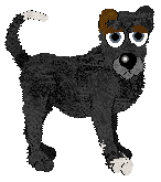 PH’s Total Eclipse of the Heart — “Eclipse”