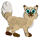 Aniseed/PH’s Academic All-Star — “Mathlete”