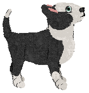 MW/PH’s Stardust Symphony — “Palti”