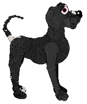 Dh's In the Distance — “Catalina”