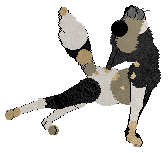 Cargo/Dh's Pawprints in the Sand — “Clamshell”