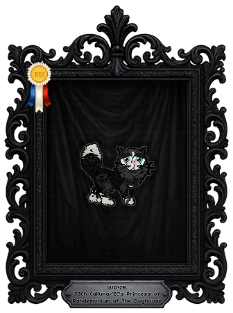 Profile image of Calluna/EC's Princess of Pandemonium at The Doghouse