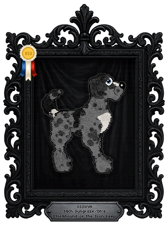 Profile image of Sungraze/Dh's Stormhound of the Iron Keep