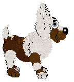 Krunchez/Dh's Ears in Full Bloom — “Orchid”