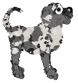 Xoops/Dh's Hound of Marlewood Hedge — “Marlewood”