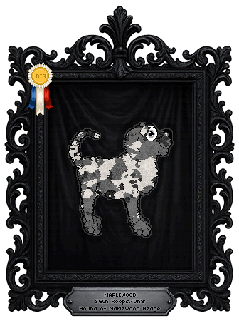 Profile image of Xoops/Dh's Hound of Marlewood Hedge