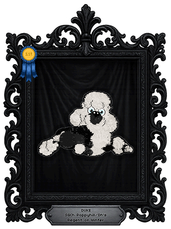 Profile image of Poppyhill/Dh's Regent of Winter