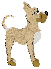 FDL/APK's Dazzling Gleam — “Meringue”