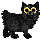 Rattlesnake's Black Velvet — “Daqitty”