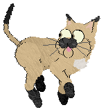 Profile image of Starfrost's Born for the Spotlight at Vanilla