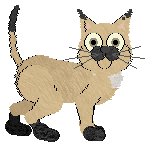 Starfrost's Born for the Spotlight at Vanilla — “Diva”