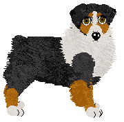 Profile image of Torleiv Wintervale Spirit