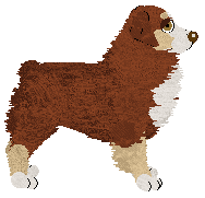 Torleiv Nightfall Ember — “Ember”