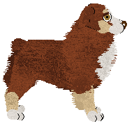 Torleiv Nightfall Ember — “Ember”